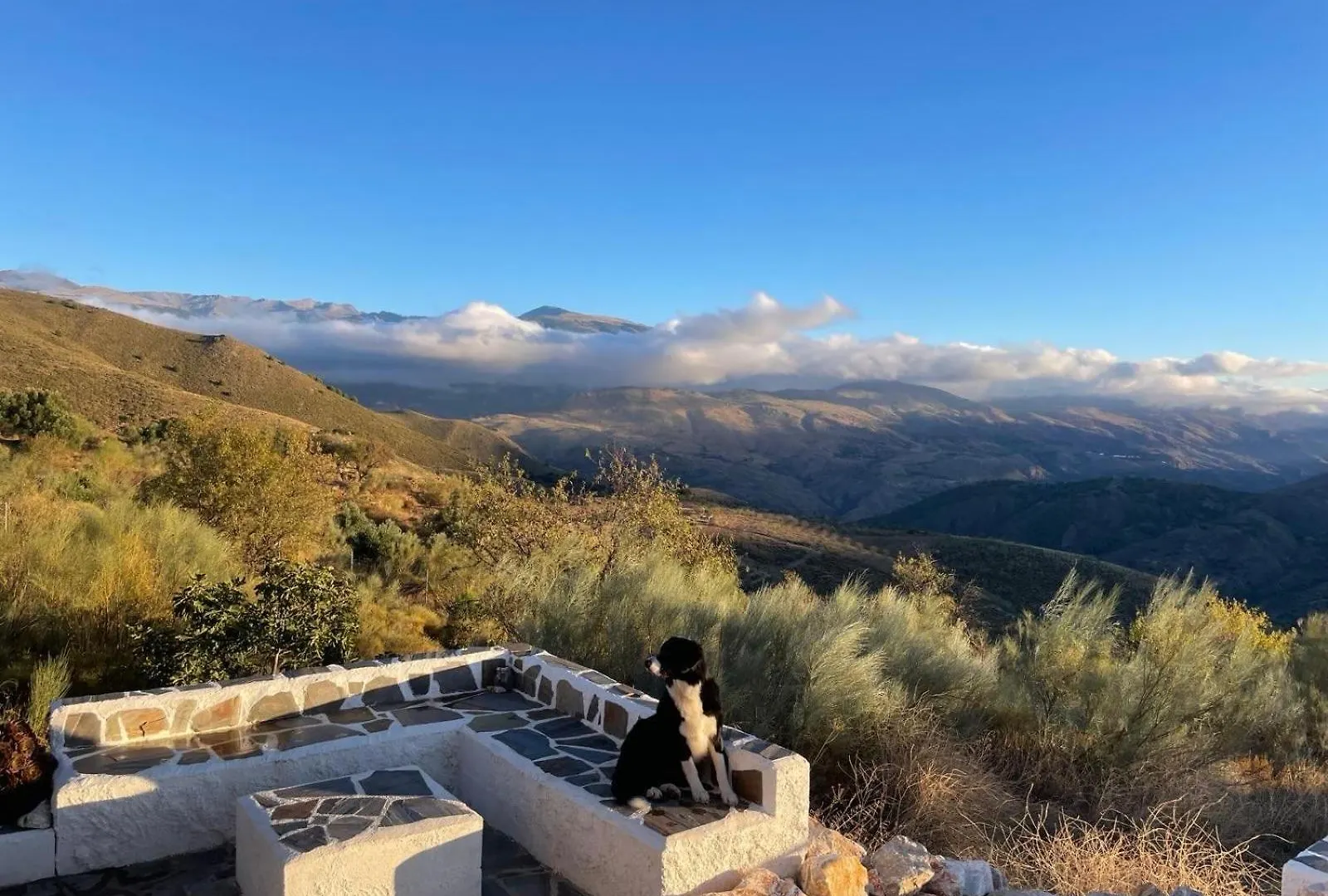 Afgelegen vakantiehuis in het hart van de Alpujarra Orgiva